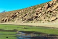 Putana River Vado Rio Putana, San Pedro de Atacama, the Atacama Desert, Antofagasta, Chile