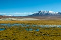 Putana River Vado Rio Putana, San Pedro de Atacama, the Atacama Desert, Antofagasta, Chile