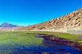 Putana River Vado Rio Putana, San Pedro de Atacama, the Atacama Desert, Antofagasta, Chile