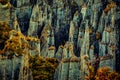 The Putangirua Pinnacles a geological formation that consist of a large number of huge earth pillars or hoodoos . Part