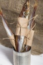 Putassu Cold smoked. The fish is wrapped with a strip of paper. Tied with linen twine. Stands in a can. Close-up Royalty Free Stock Photo