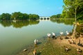 Putrajaya Wetlands Park Royalty Free Stock Photo