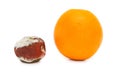 Putrefaction orange Royalty Free Stock Photo