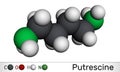Putrescine molecule. It is toxic diamine, it belongs to the group of biogenic amines. Molecular model. 3D rendering Royalty Free Stock Photo
