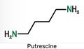 Putrescine molecule. It is toxic diamine, it belongs to the group of biogenic amines. Skeletal chemical formula Royalty Free Stock Photo