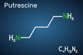 Putrescine molecule. It is toxic diamine, it belongs to the group of biogenic amines. Structural chemical formula on the dark blue Royalty Free Stock Photo