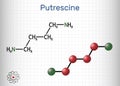 Putrescine molecule. It is toxic diamine, it belongs to the group of biogenic amines. Structural chemical formula and molecule Royalty Free Stock Photo