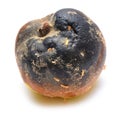 Putrid fruit Royalty Free Stock Photo