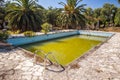 Putrid green water in abandoned swimming pool