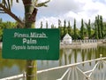 Putroe Phang Garden Behind Pineu Pirah Palm Royalty Free Stock Photo