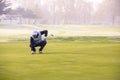 Golf player on course putting, he aiming for his put shot