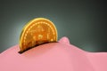 Putting Bitcoin Into Piggy Bank