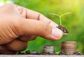 Putting coins stacked and seedlings on top. While a man's hand a Royalty Free Stock Photo