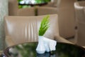 Putting flower glass vase on table of cafe. Plants on the cafe table Royalty Free Stock Photo