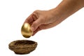 Putting Golden Egg In Nest Royalty Free Stock Photo
