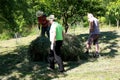 Putting the grass on the trailor. Farm chores, working on a field and raking the grass. Royalty Free Stock Photo