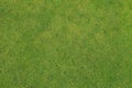 Putting green on golf course - Aerated - maintenance background