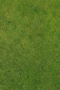 Putting green on golf course - Aerated - maintenance background vertical Royalty Free Stock Photo