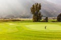 Putting green practice Royalty Free Stock Photo