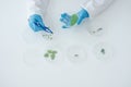 Putting her phytology skills to work. High angle shot of an unrecognizable female scientist working with plant samples