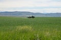 Putting liquid fertilizer on crop field.