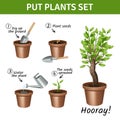 Putting Plants Icons Set