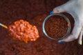 Putting a spoon full of lyutenitsa in a jar. Traditional Bulgarian tomato, eggplant, paprika, pepper sauce paste. Royalty Free Stock Photo