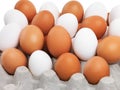 Putting them all in one basket. Studio shot of a collection of brown and white eggs in an egg tray.