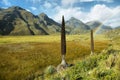 Puya raimondi, Huascaran, Peru