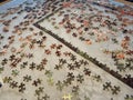 A puzzle with the edges completed on a leather looking table waiting to be finished