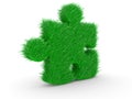 Puzzle with green grass Royalty Free Stock Photo
