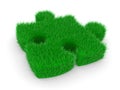 Puzzle with green grass Royalty Free Stock Photo