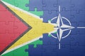 Puzzle with the national flag of guyana and nato