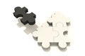 Puzzle one black three white Royalty Free Stock Photo