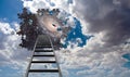 Puzzle Piece Hole in Sky and Ladder Royalty Free Stock Photo