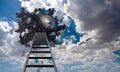 Puzzle Piece Hole in Sky and Ladder Royalty Free Stock Photo