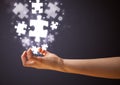 Puzzle pieces in the hand of a woman Royalty Free Stock Photo