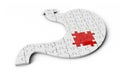 Puzzle pieces in shape of Stomach. Stomach shaped jigsaw 3d illustration isolated on white background.