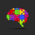 Puzzle Pieces Silhouette Brain Jigsaw Puzzle Brain