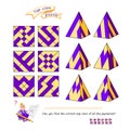 Puzzle for smartest. Can you find the correct top view of all the pyramids? Logic game for children and adults. 3D maze. Brain