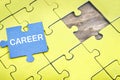 Puzzle with word Career Royalty Free Stock Photo