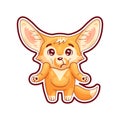 Puzzled fennec fox shrugs its shoulders