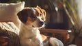 Thoughtful Puppy in Cozy Rustic Sunlit Interior with Impressionist Palette