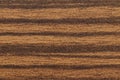 PVC plastic texture with wood pattern for edging chipboard ends. Royalty Free Stock Photo