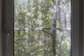 PVC window with a mosquito net, on a blurred background a tree w Royalty Free Stock Photo