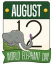 Calendar, Elephant and Ribbon Celebrating World Elephant Day in August, Vector Illustration