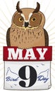 Great Horned Owl over Calendar Promoting Bird Day Celebration in May, Vector Illustration Royalty Free Stock Photo