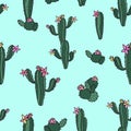 Seamless repeat pattern with a cactus Half-Drop on aqua ground