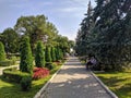 Pyatigorsk, Russia - August 19, 2022: People are sitting on a park bench. Tall blue fir trees grow along the alley. Landscaping on