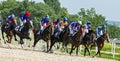 Horse racing for the prize of Derby in Pyatigorsk. Royalty Free Stock Photo